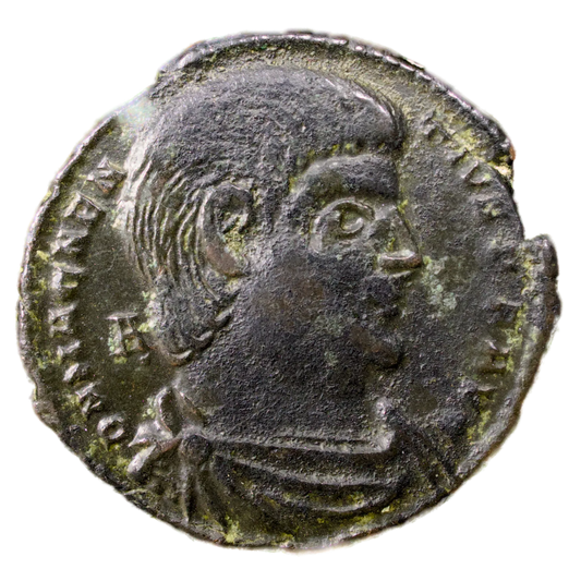 Magnence (350-353) Centenionalis de Trèves R/ VICTORIAE DD NN 4.71 gr