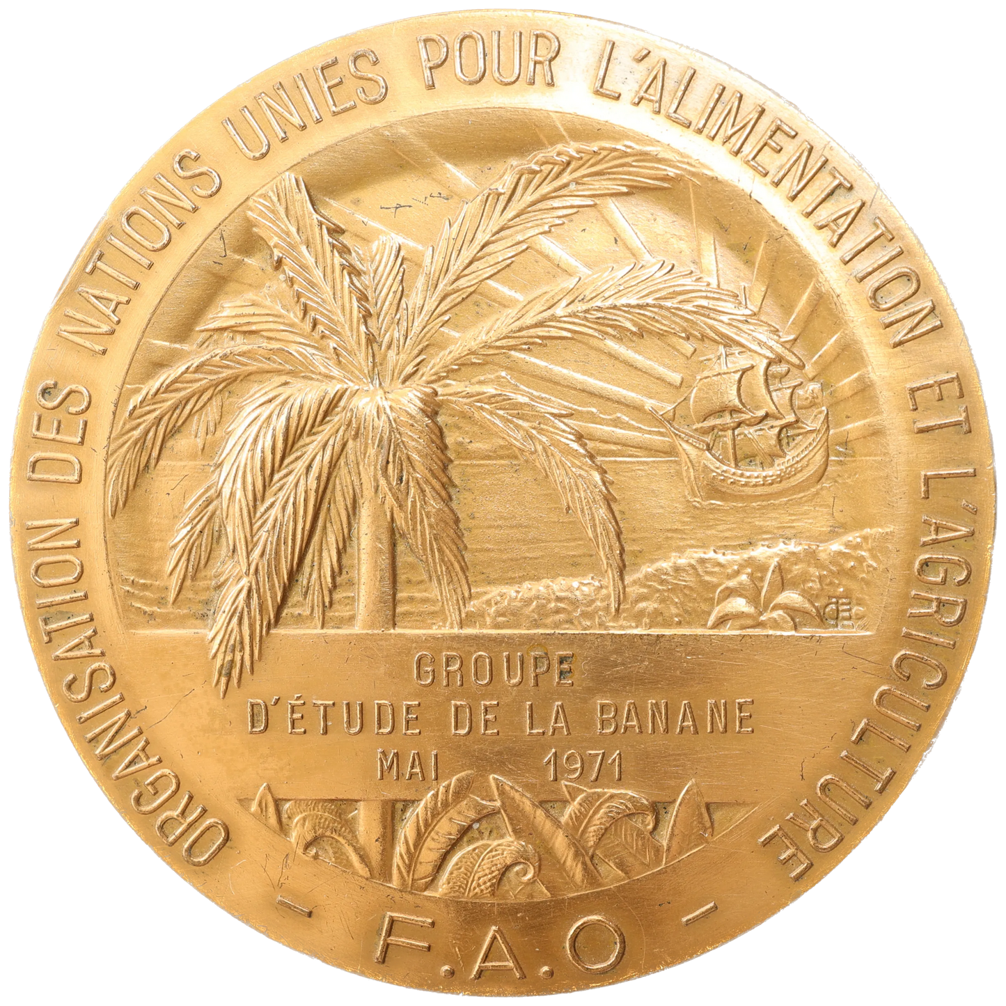 Colony Medal - Martinique - Guadeloupe - Food and Agriculture Organization of the United Nations 1971 Copper 151.68 gr