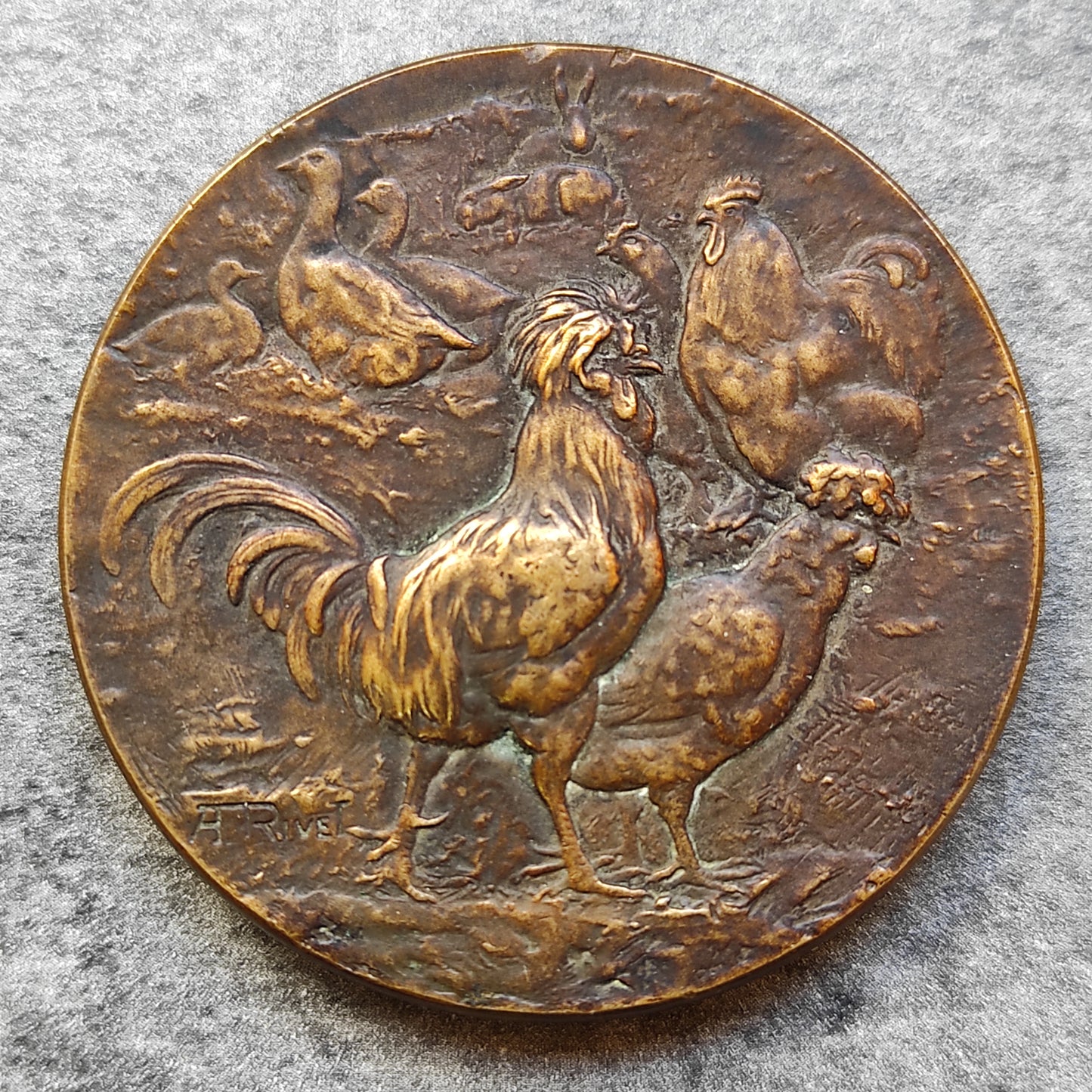 Medal Society of poultry farmers from northern by rivet in bronze 50 mm 71.82 gr