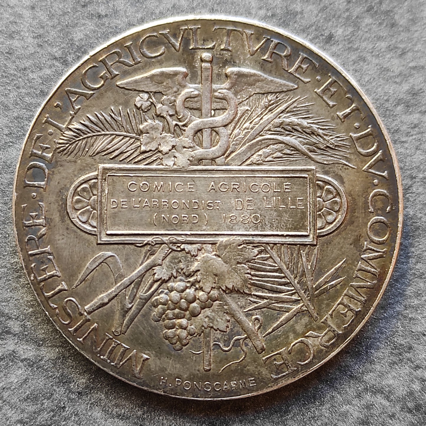 Silver medal. Agricultural Comice of Lille 1880. By ponscarme. 42 mm 38.5 gr