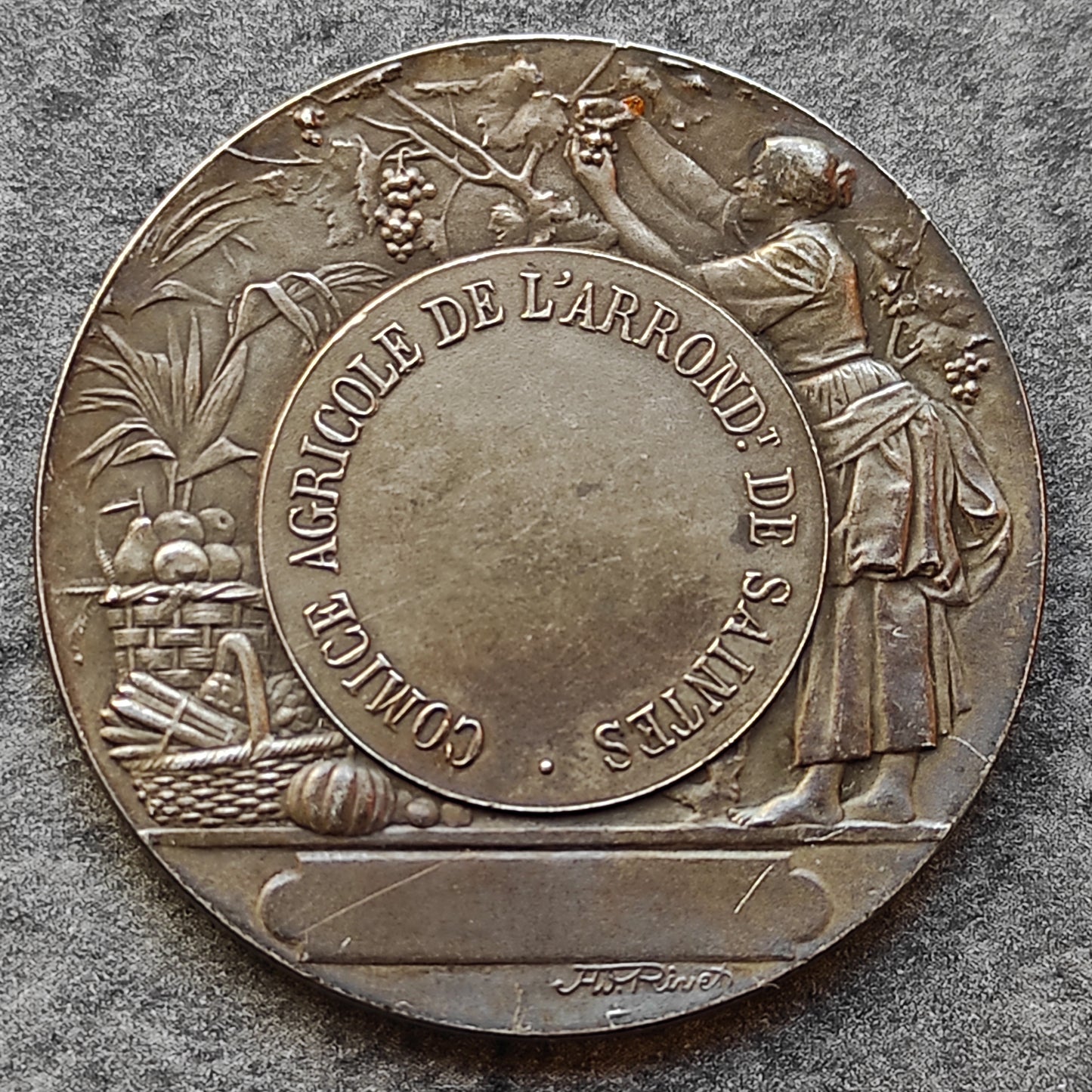 Agricultural comice medal arrondissement of Saintes. Money. 21.96 gr