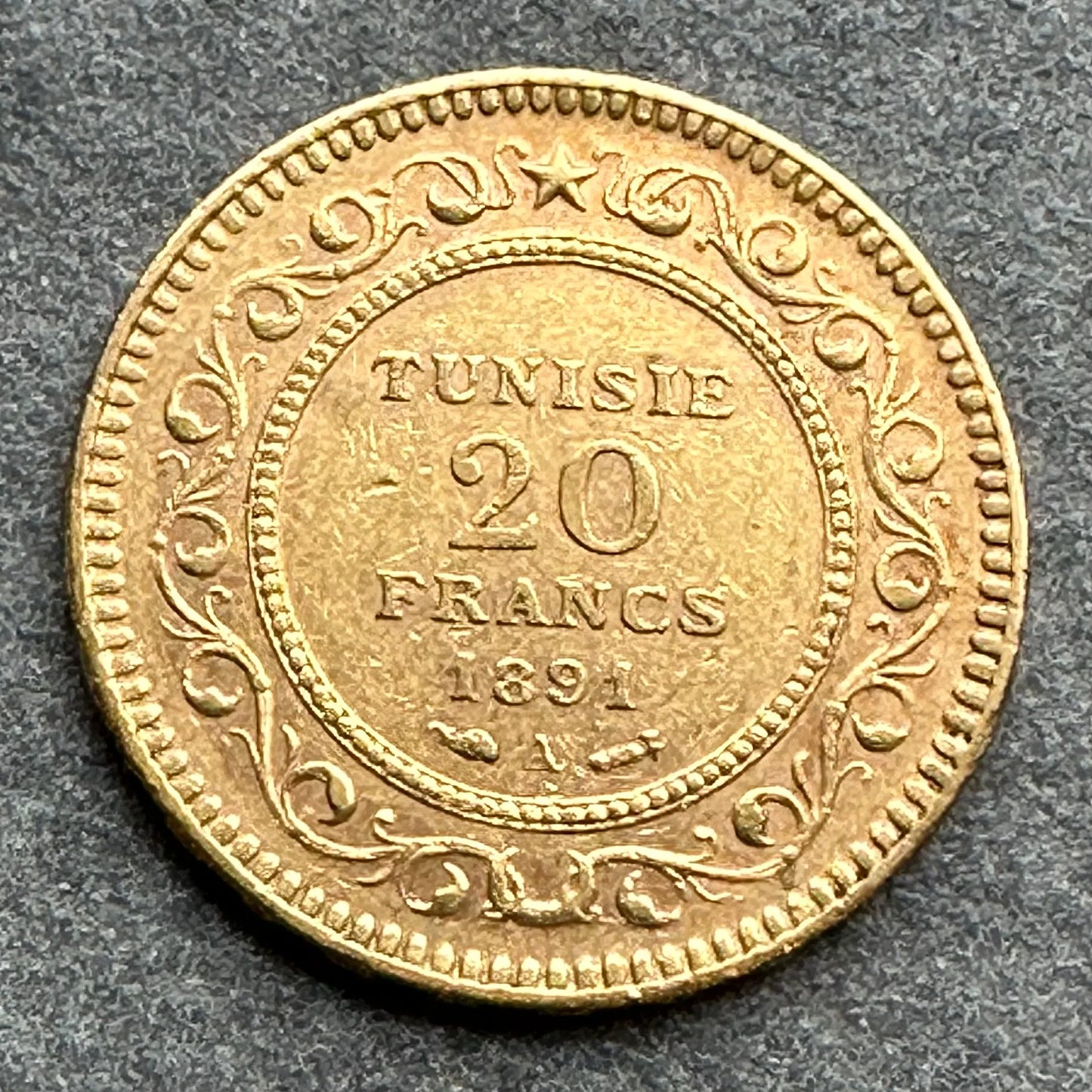 Túnez 20 Francos Oro Ali (Protectorado Francés) 1308 (1891) A París ١٣٠٨ 6,44 gr