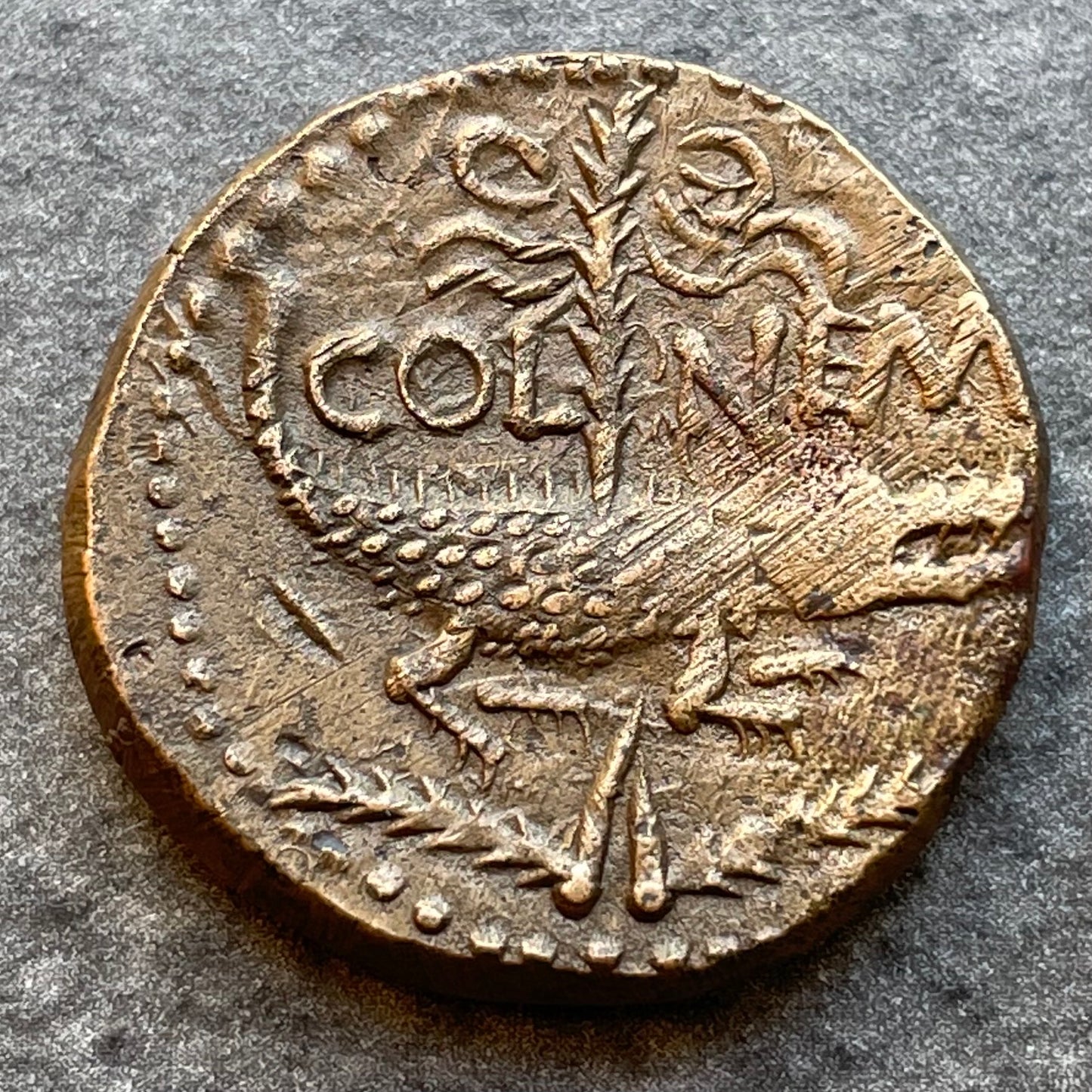 Dupondius De Nîmes Auguste Agrippa R/ COL NEM cocodrilo 14,07 gr Calidad